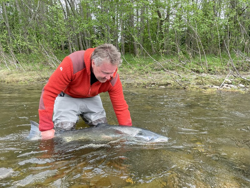 ifc-gaula-salmon-2023-14