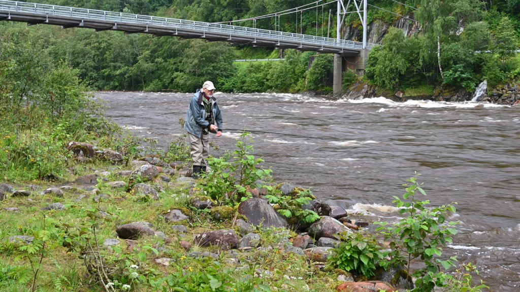 Manfred Raguse befischt den Bridge Pool bei sehr hohem Wasserstand