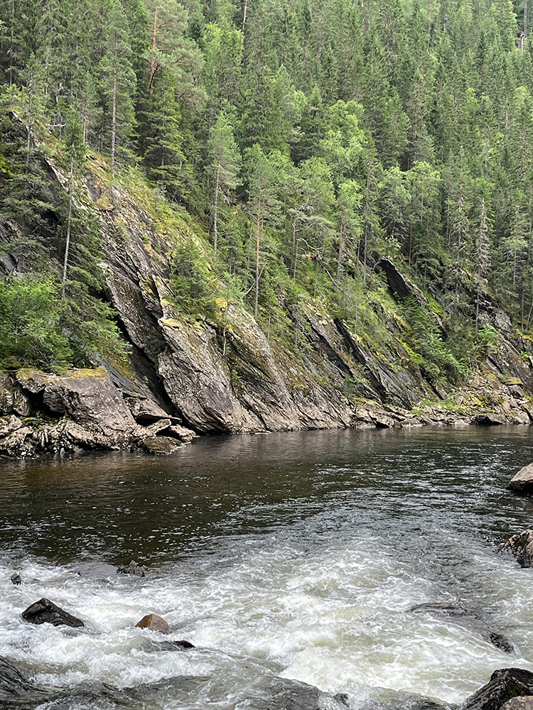 Im Kings Hall Pool stehen die großen Fische nicht im Einlauf sondern sammeln sich etwas weiter stromab. Foto Kings Hall Pool
